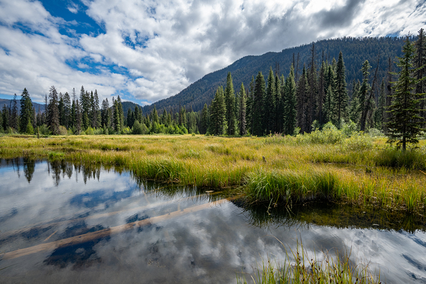 Beaver Pond E.C Manning Provincial Park British Columbia by Randy Roy Photography