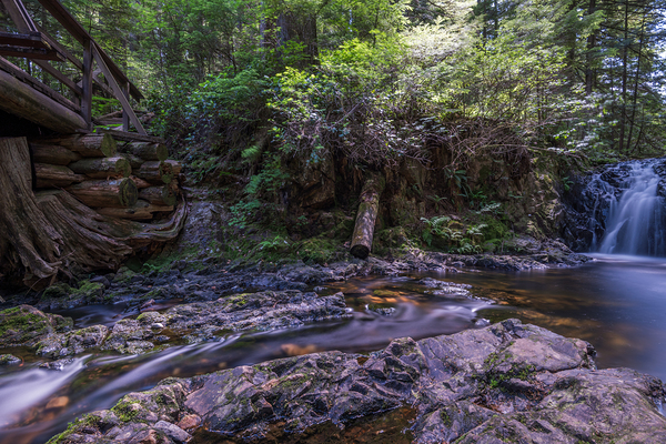 Rolley Lake falls Mission British Columbia 3 by Randy Roy Photography