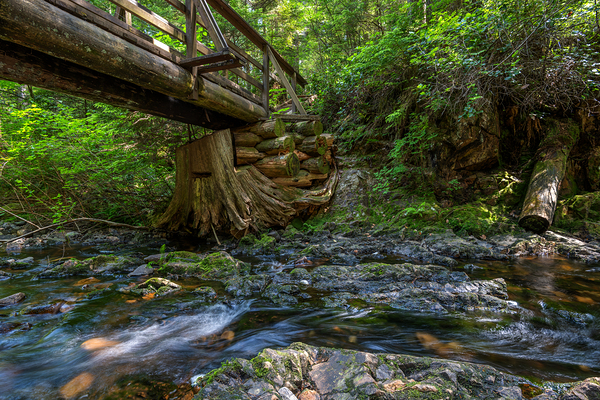 Rolley Lake falls Mission British Columbia by Randy Roy Photography