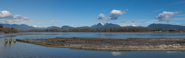 Golder Ears Mountains from brae Island by Randy Roy Photography
