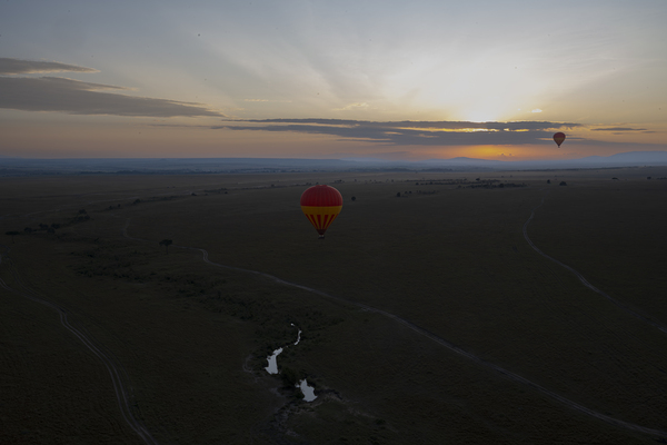 Balloons over Masai Mara Africa by Randy Roy Photography