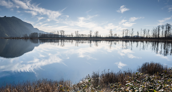Pitt Lake British Columbia by Randy Roy Photography