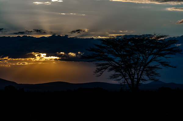 Sweetwaters game reserve Kenya africa by Randy Roy Photography