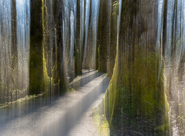 Brae Island ICM by Randy Roy Photography