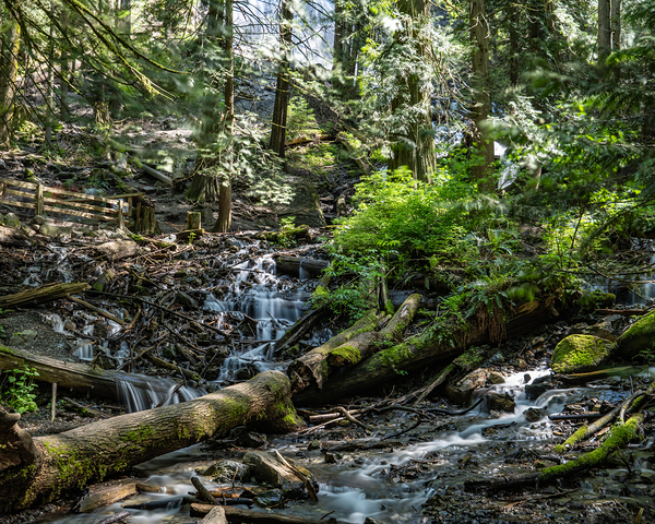 Stream at Bridal Falls by Randy Roy Photography