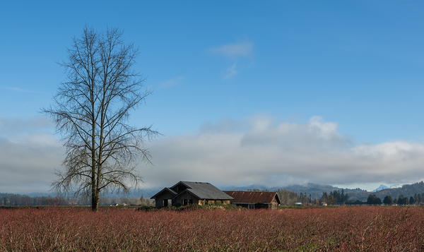 Old Farm House Glen Valley British Columbia by Randy Roy Photography