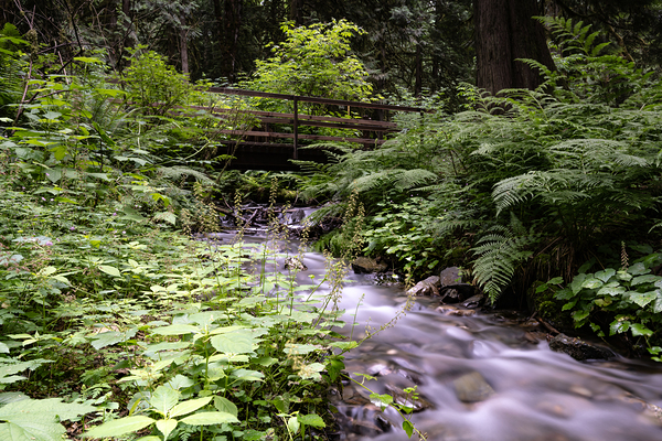 Bridal falls creek by Randy Roy Photography
