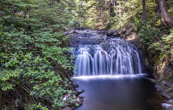 Rolley Lake Mission British Columbia by Randy Roy Photography