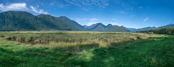 Pitt Lake British Columbia  by Randy Roy Photography