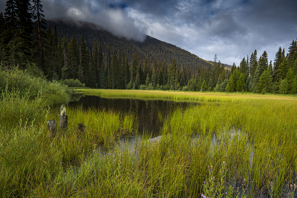 E.C Manning Provincial park British Columbia by Randy Roy Photography