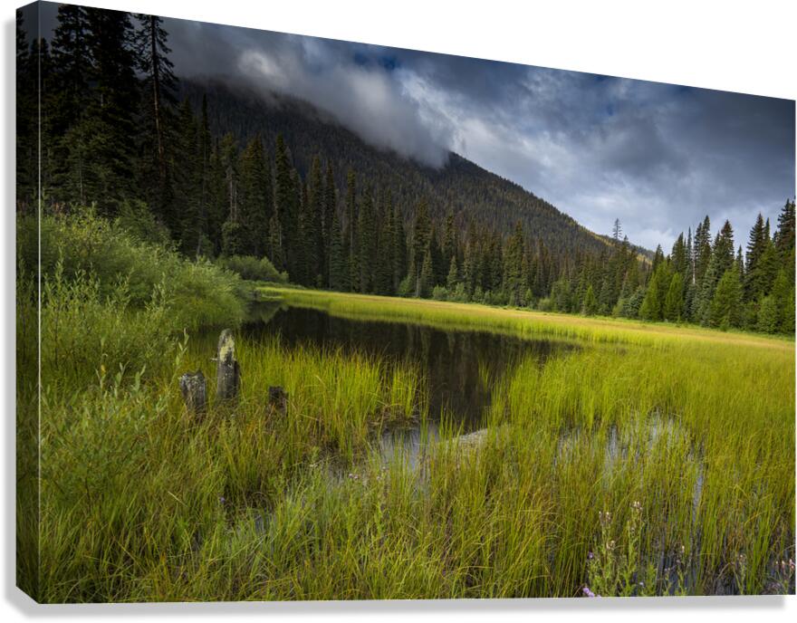 E.C Manning Provincial park British Columbia Canvas Print