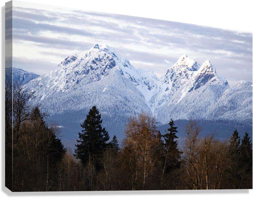 Golden Ears Provincial Park British Columbia Golden Ears Mountain Canvas Print
