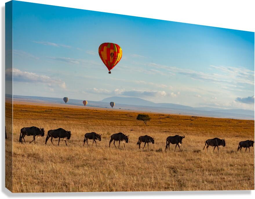 Masai Mara Canvas Print