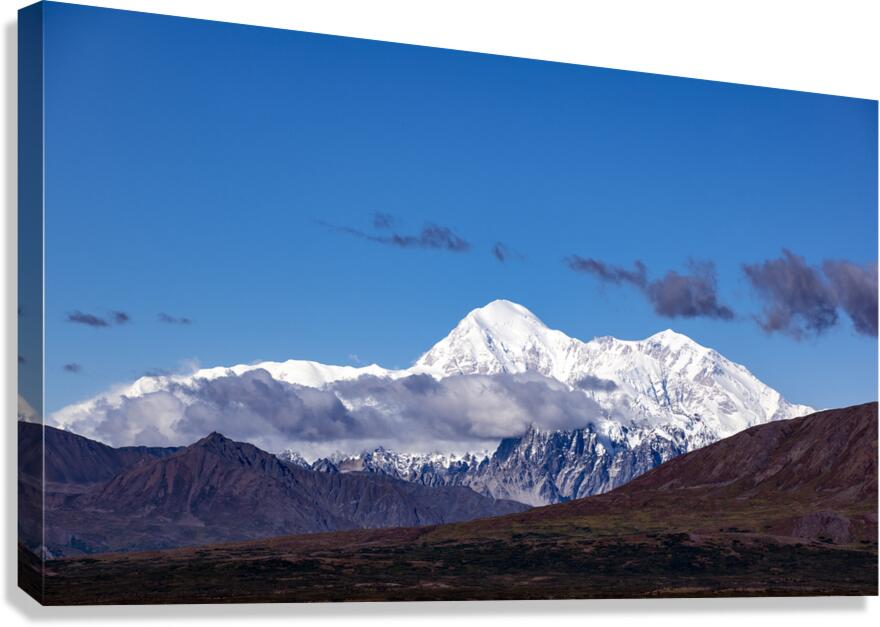 Mt.Denali  Canvas Print