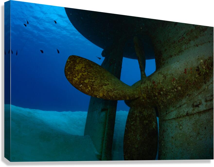 USS Kittiwake Grand Cayman Islands Canvas Print