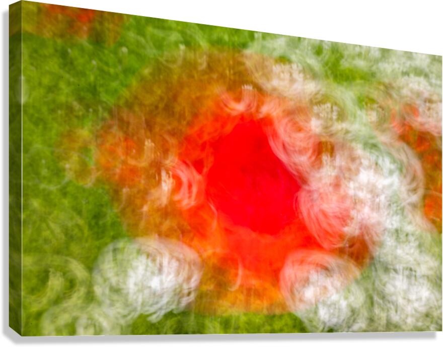 ICM of poppys Monets  Gardens Kotchi Japan Canvas Print