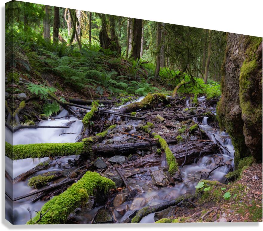 Bridal falls British Columbia creek 2 Canvas Print