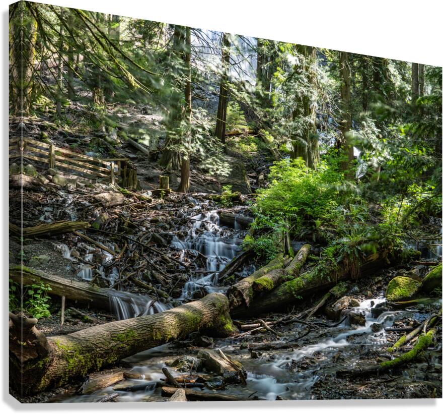 Stream at Bridal Falls Canvas Print