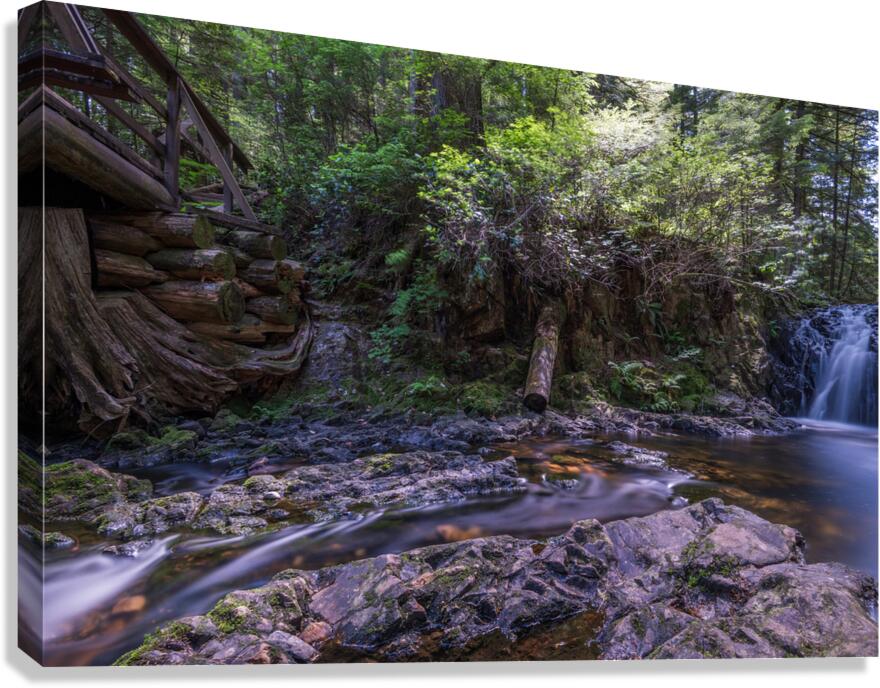 Rolley Lake falls Mission British Columbia 3 Canvas Print
