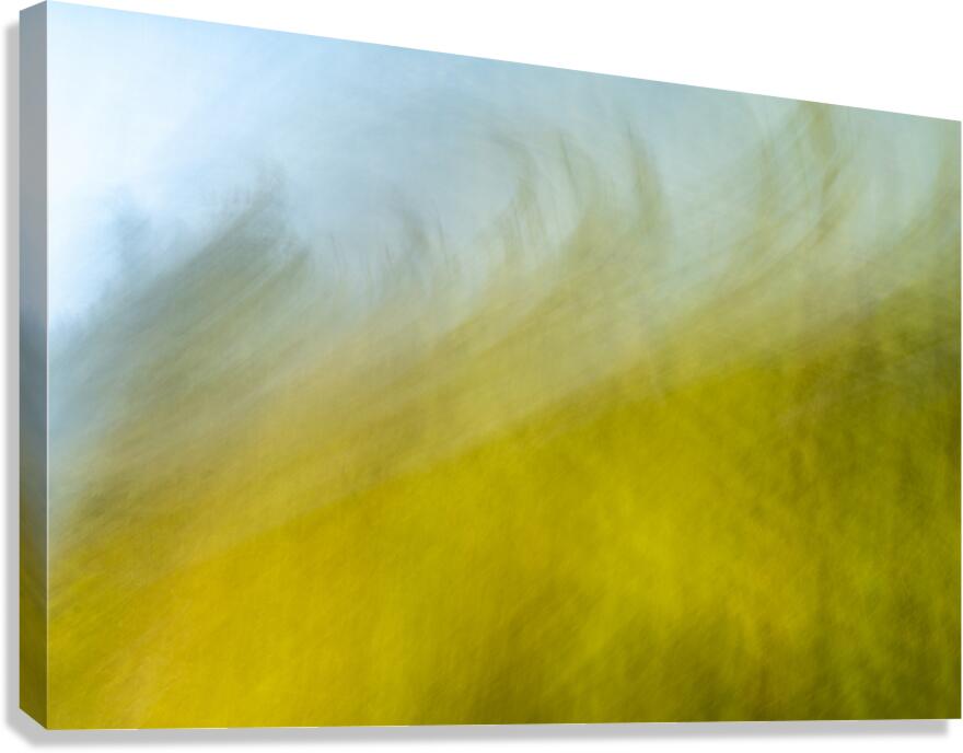 On the lake bog Houston trail Fort Langley British Columbia Canada 2 Canvas Print