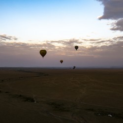 Balloons over Masai Mara