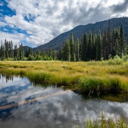 Beaver Pond E.C Manning Provincial Park British Columbia
