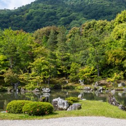 Tenryu ji Temple Gardens Kyoto