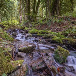 Bridal Creek Chilliwack British Columbia
