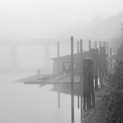Fort Langley British Columbia Fog Black and White