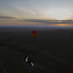 Balloons over Masai Mara Africa
