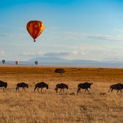 Masai Mara