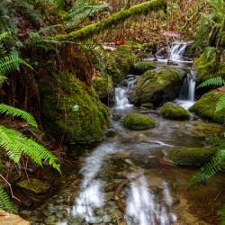 Flowing Creek at golden ears provincial Park British Columbia 2.