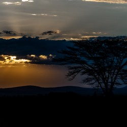 Sweetwaters game reserve Kenya africa