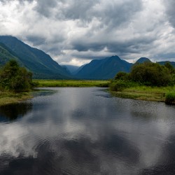 Heron cove Pitt lake B.C
