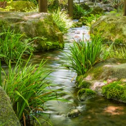Koko-Em Gardens Kobe Japan 2