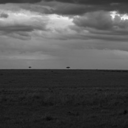 Ashnil Masai Mara