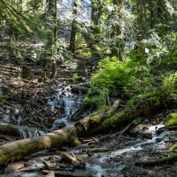 Stream at Bridal Falls