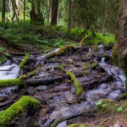 Bridal falls British Columbia creek 2