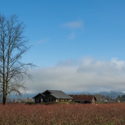 Old Farm House Glen Valley British Columbia