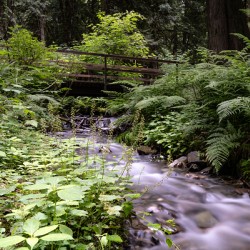 Bridal falls creek