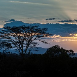 Sweetwaters Kenya Africa