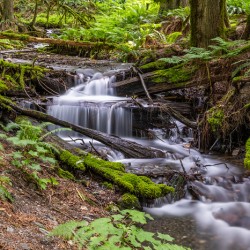Bridal Veil Falls British Columbia Creek