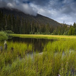 E.C Manning Provincial park British Columbia