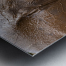 Orphaned elephants rehab center Sheldrick wildlife Metal print