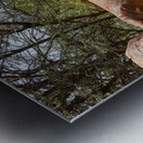 Orphaned elephants rehab center Sheldrick wildlife Metal print