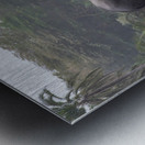  Elephants Amboseli National Park Kenya Metal print