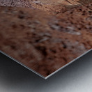 Sheldrick wildlife trust Nairobi Metal print