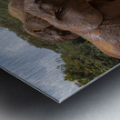 Orphaned elephants rehab center Sheldrick wildlife Metal print