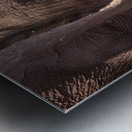 Orphaned elephants rehab center Sheldrick wildlife Metal print