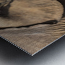 Orphaned elephants rehab center Sheldrick wildlife Metal print